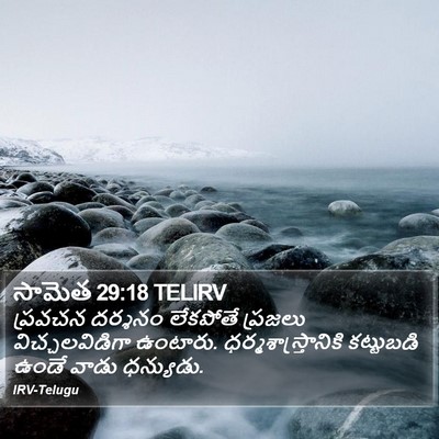 సామెత 29:18 TELIRV Bible Verse Image