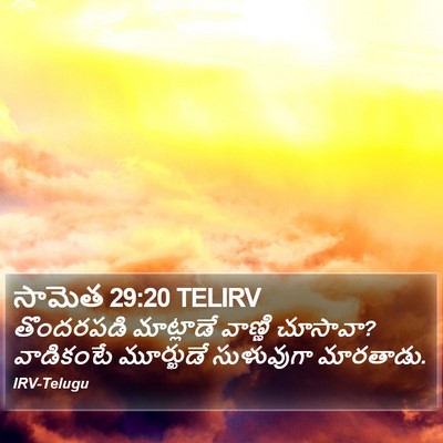 సామెత 29:20 TELIRV Bible Verse Image