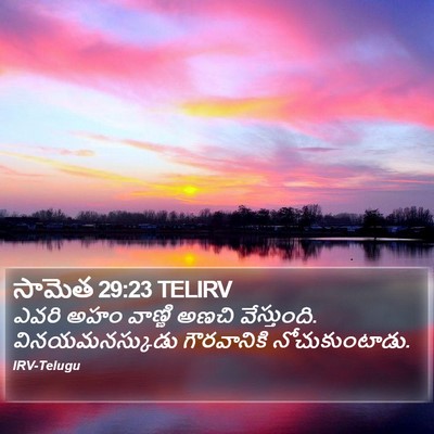 సామెత 29:23 TELIRV Bible Verse Image