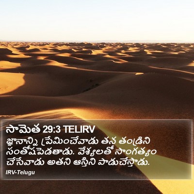 సామెత 29:3 TELIRV Bible Verse Image