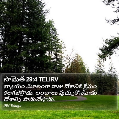 సామెత 29:4 TELIRV Bible Verse Image