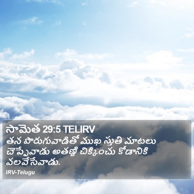 సామెత 29:5 TELIRV Bible Verse Image