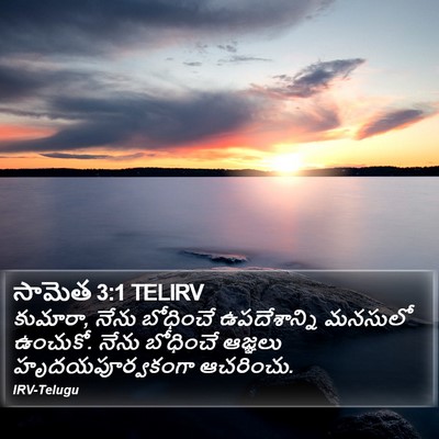 సామెత 3:1 TELIRV Bible Verse Image