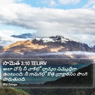 సామెత 3:10 TELIRV Bible Verse Image