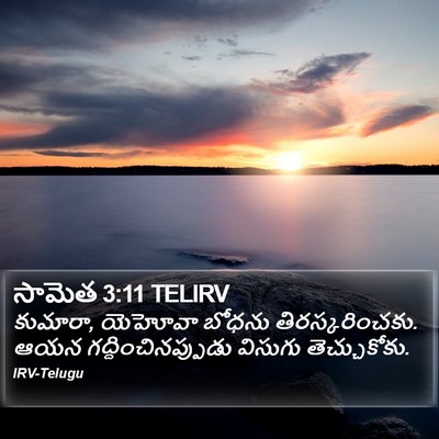 సామెత 3:11 TELIRV Bible Verse Image
