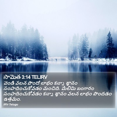సామెత 3:14 TELIRV Bible Verse Image