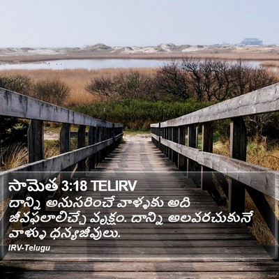 సామెత 3:18 TELIRV Bible Verse Image