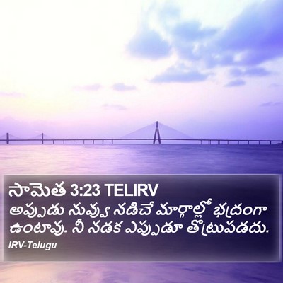 సామెత 3:23 TELIRV Bible Verse Image