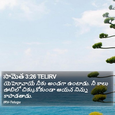 సామెత 3:26 TELIRV Bible Verse Image