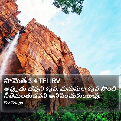 సామెత 3:4 TELIRV Bible Verse Image