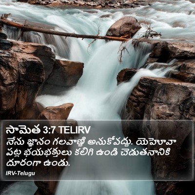 సామెత 3:7 TELIRV Bible Verse Image