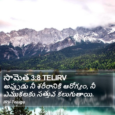 సామెత 3:8 TELIRV Bible Verse Image
