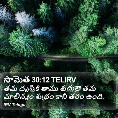 సామెత 30:12 TELIRV Bible Verse Image