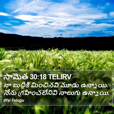 సామెత 30:18 TELIRV Bible Verse Image