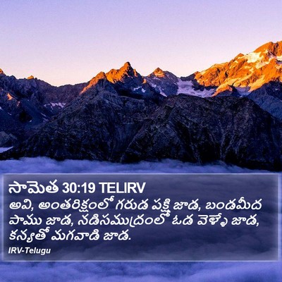 సామెత 30:19 TELIRV Bible Verse Image