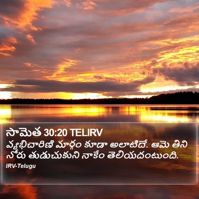 సామెత 30:20 TELIRV Bible Verse Image