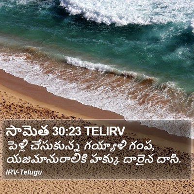 సామెత 30:23 TELIRV Bible Verse Image