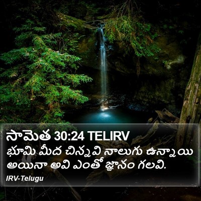 సామెత 30:24 TELIRV Bible Verse Image