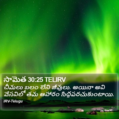 సామెత 30:25 TELIRV Bible Verse Image