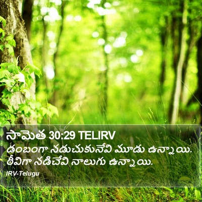 సామెత 30:29 TELIRV Bible Verse Image