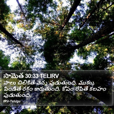సామెత 30:33 TELIRV Bible Verse Image