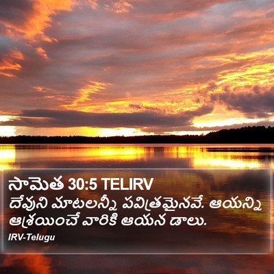 సామెత 30:5 TELIRV Bible Verse Image