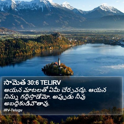 సామెత 30:6 TELIRV Bible Verse Image