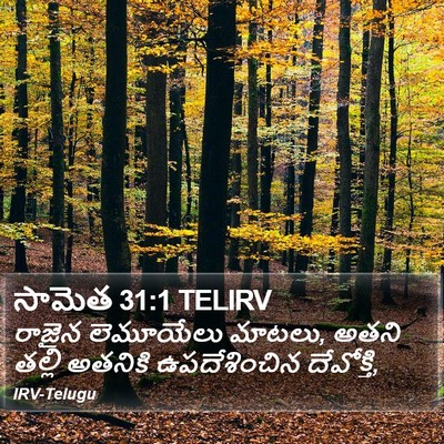 సామెత 31:1 TELIRV Bible Verse Image