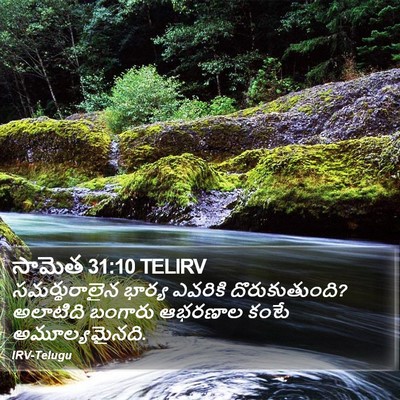 సామెత 31:10 TELIRV Bible Verse Image