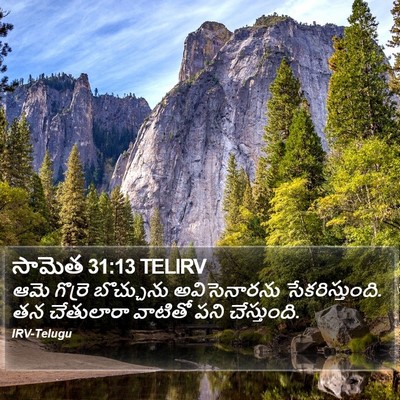 సామెత 31:13 TELIRV Bible Verse Image
