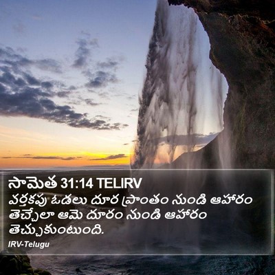 సామెత 31:14 TELIRV Bible Verse Image