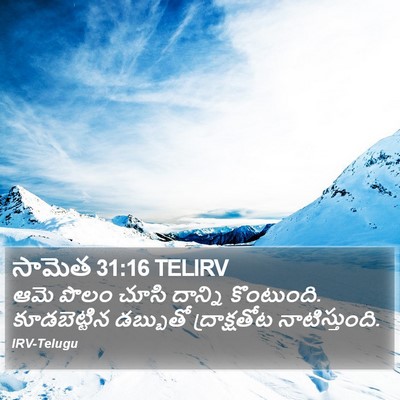 సామెత 31:16 TELIRV Bible Verse Image