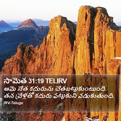 సామెత 31:19 TELIRV Bible Verse Image