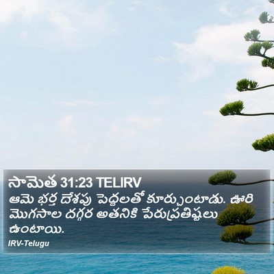 సామెత 31:23 TELIRV Bible Verse Image