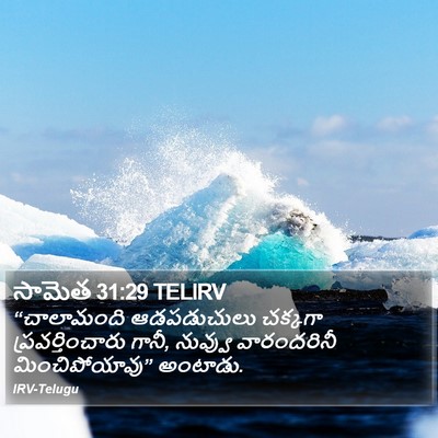 సామెత 31:29 TELIRV Bible Verse Image