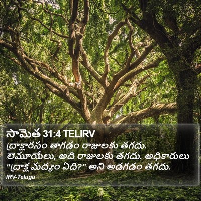 సామెత 31:4 TELIRV Bible Verse Image
