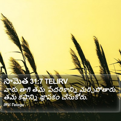 సామెత 31:7 TELIRV Bible Verse Image