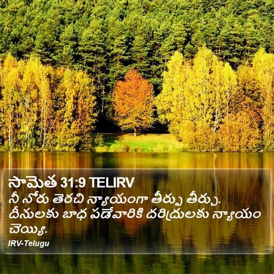 సామెత 31:9 TELIRV Bible Verse Image