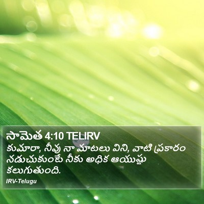 సామెత 4:10 TELIRV Bible Verse Image