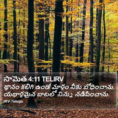 సామెత 4:11 TELIRV Bible Verse Image