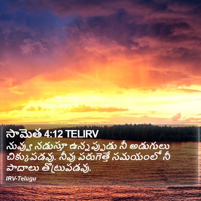 సామెత 4:12 TELIRV Bible Verse Image