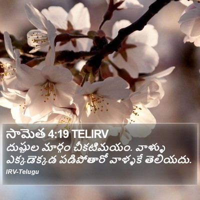 సామెత 4:19 TELIRV Bible Verse Image
