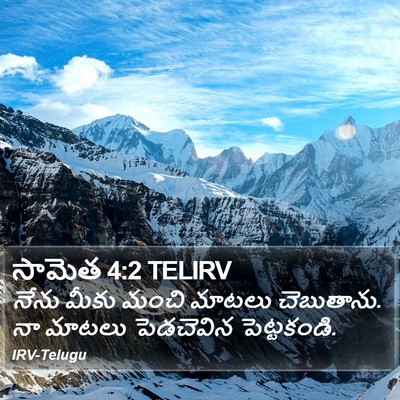సామెత 4:2 TELIRV Bible Verse Image