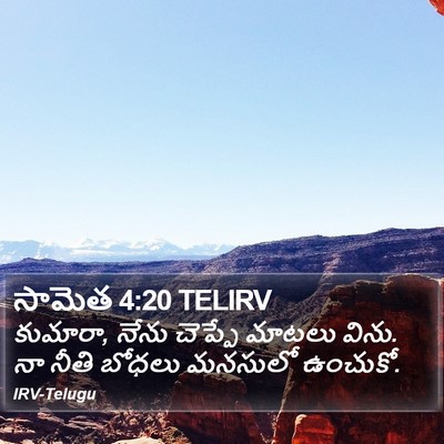 సామెత 4:20 TELIRV Bible Verse Image
