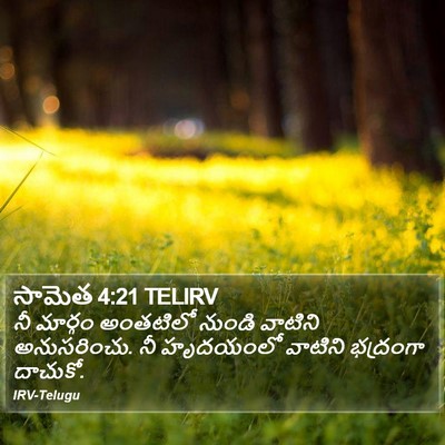 సామెత 4:21 TELIRV Bible Verse Image
