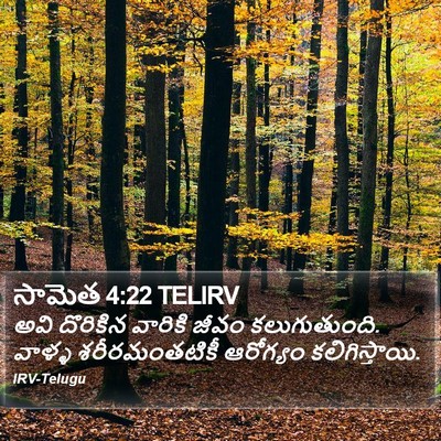 సామెత 4:22 TELIRV Bible Verse Image