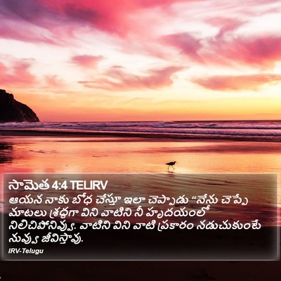 సామెత 4:4 TELIRV Bible Verse Image