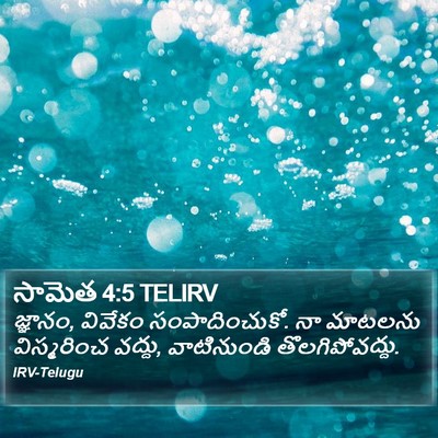 సామెత 4:5 TELIRV Bible Verse Image