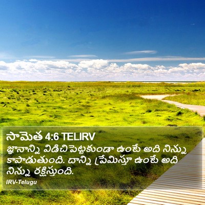 సామెత 4:6 TELIRV Bible Verse Image