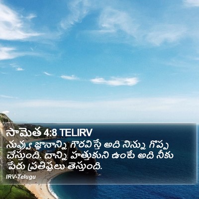 సామెత 4:8 TELIRV Bible Verse Image